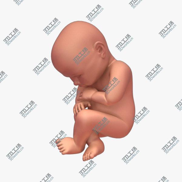 images/goods_img/20210312/Developing Fetus/3.jpg